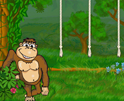 Crazy Monkey